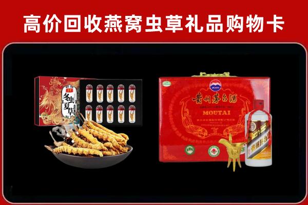 达坂城回收冬虫夏草